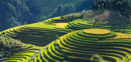 Visa requirements for Hong Kong passport holders traveling to Vietnam